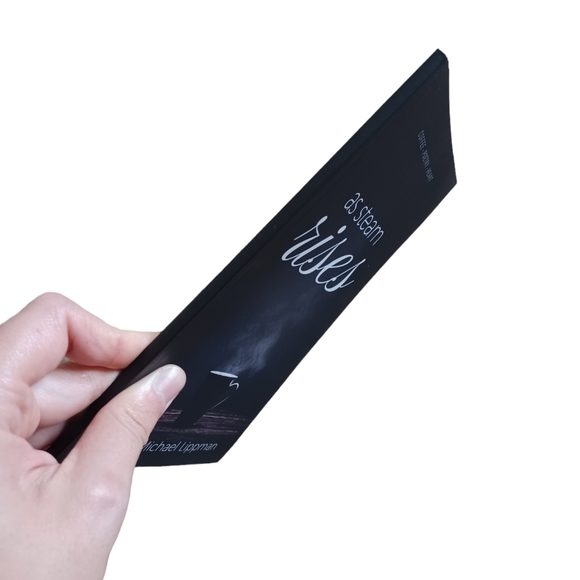 3 For $15 / Book Of Poetry "As Steam Rises" by David Michael Lippman, Cozy Read - Picture 4 of 7